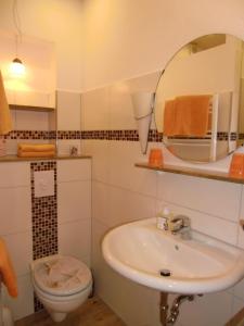 een badkamer met een wastafel, een toilet en een spiegel bij Traumhafte-Ferienwohnung-Kaethi in Flensburg