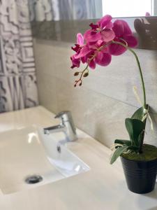 una flor púrpura en una olla en un lavabo del baño en EL MIRADOR DE CACERES, en Cáceres