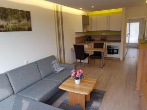 a living room with a gray couch and a table at Studiowohnung-Bernstein in Schilksee