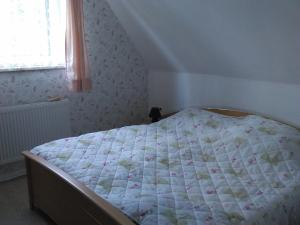 1 dormitorio con cama con edredón y ventana en Haus-Sonne en Flöha