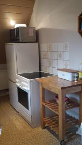 a kitchen with a stove and a refrigerator and a table at Haus-Sonne in Flöha