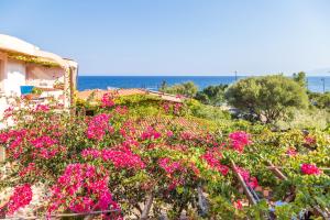 a house with pink flowers on the side of it at Costa Dorada in Cala Gonone