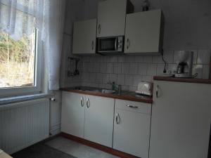 アルテンアウにあるHarzhaus-am-Brunnen-Wohnung-3の白いキャビネット、シンク、窓付きのキッチン