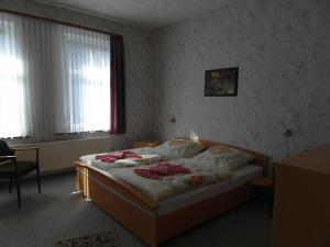アルテンアウにあるHarzhaus-am-Brunnen-Wohnung-3のベッドルーム1室(ベッド1台付)