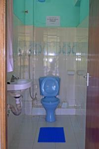 a bathroom with a blue toilet and a sink at TAITA LUXURY HOTELS LTD in Wundanyi