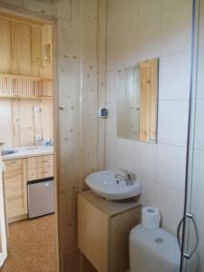 uma casa de banho com um lavatório e um WC em Mazurskie Wzgórze em Rydzewo