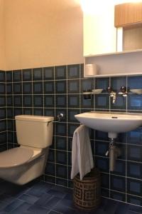 y baño con aseo y lavamanos. en Appartementhaus Quadern (A302) en Valens