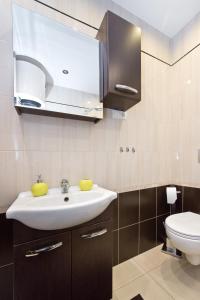 a bathroom with a sink and a toilet at Gdańskie Apartamenty - Apartamenty na Długiej i na Garbary in Gdańsk