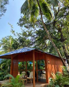 Zahrada ubytování Palm Forest Palolem