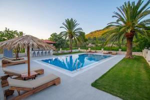 uma piscina com cadeiras e guarda-sóis e palmeiras em Zissis Villa & pool 5min drive to beach em Káto Yerakaríon