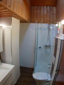 a bathroom with a shower and a toilet at Ferienhaus-Haidweg-Wohnung-5 in Haidmühle