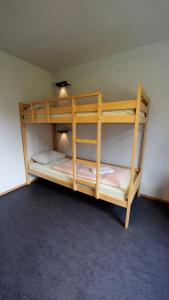a bunk bed in a small room at Valbella-Lenzerheide Youth Hostel in Lenzerheide