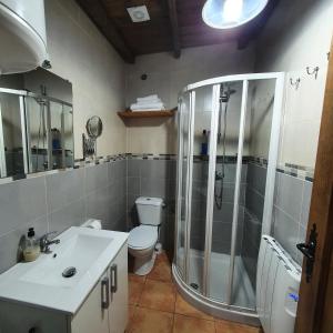 a bathroom with a shower and a toilet and a sink at La Jelechera in El Gasco