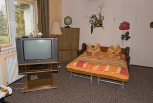 ein Wohnzimmer mit einem Bett und einem TV in der Unterkunft Preisgünstige und gemütliche Ferienwohnung am Wieker Bodden in Wiek auf Rügen 