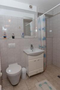 ein Bad mit einem WC und einem Waschbecken in der Unterkunft Geschmackvoll ausgestattete Ferienwohnung für 4 Personen in Sagard