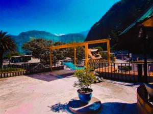 patio con gazebo e pianta in vaso di Hostal & Spa Casa Real a Baños