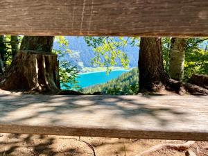 Paesaggio naturale nelle vicinanze dell'affittacamere