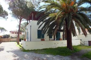 un palmier devant une maison blanche dans l'établissement Golden River, à Marina di Campo