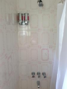 a shower with two faucets in a bathroom at Polish Princess Guest House in Port Antonio