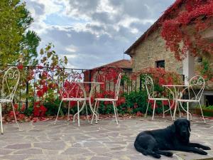 un chien noir pondant sur le sol à côté des tables et des chaises dans l'établissement Podere I Massoni, à Monterotondo