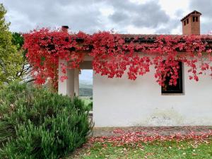 a white building with red flowers on it at Podere I Massoni in Monterotondo