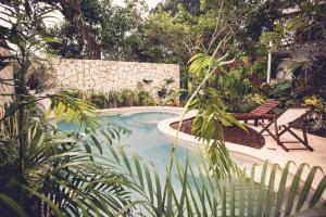 een zwembad met 2 stoelen en een tafel bij Hotel Aires Bacalar in Bacalar