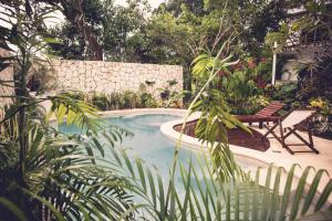 Bazén v ubytování Hotel Aires Bacalar nebo v jeho okolí