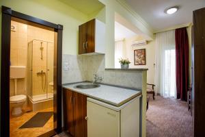 a bathroom with a sink and a toilet at Villa Modena in Subotica