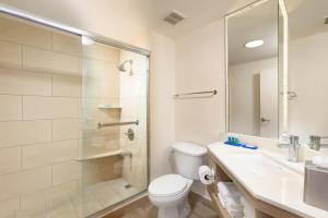 
a bathroom with a toilet a sink and a mirror at Holiday Inn Express San Jose Airport, an IHG Hotel in Alajuela
