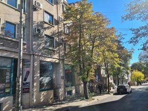 un arbre sur le côté d'une rue à côté d'un bâtiment dans l'établissement Hotel Oazis, à Haskovo