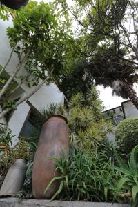 two large vases sitting in a garden with plants at Casa de la Loma in Morelia