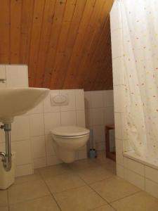 a bathroom with a toilet and a sink at Altes-Landhaus-Ferienwohnung-Schleswig-Holstein in Wendtorf