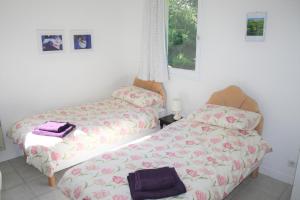 1 dormitorio con 2 camas y ventana en Wisteria Gite, en Asnières-sur-Vègre