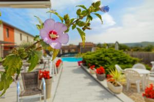 Afbeelding uit fotogalerij van Hôtel Les Gabarres in Tour-de-Faure