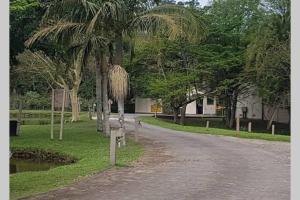 a dirt road with palm trees and a building at Eden Wilds 87 in Port Edward