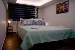 ein Schlafzimmer mit einem Bett mit zwei Handtüchern darauf in der Unterkunft Στούντιο στο κέντρο της πόλης. in Volos