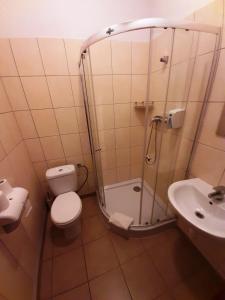 e bagno con doccia, servizi igienici e lavandino. di Red Carpet Hostel a Cracovia