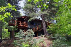 a tree house in the middle of a forest at Treehouse On The Stream Sundance, Utah in Sundance