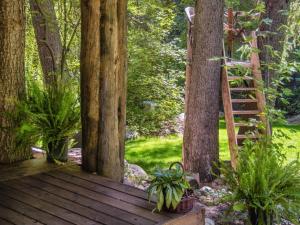 حديقة خارج Treehouse On The Stream Sundance, Utah