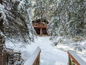 Treehouse On The Stream Sundance, Utah خلال فصل الشتاء