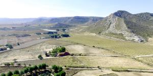 Gallery image of Casa del Procurador in Las Virtudes