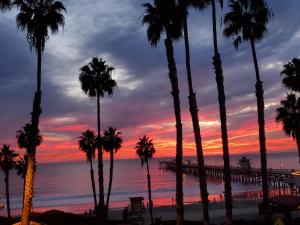 a group of palm trees on a beach at sunset at Sea Horse Resort in San Clemente