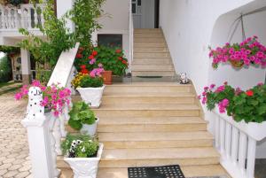 Zahrada ubytování House Lucija