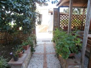 a garden with a pergola and some plants at Busalacchi B&B in Mondello