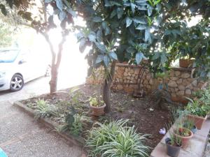 a garden with potted plants and a stone wall at Busalacchi B&B in Mondello