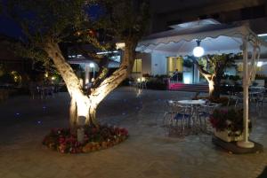 Fotografie z fotogalerie ubytování Hotel Costa Verde v destinaci Tortoreto Lido