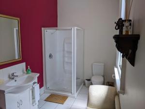 a bathroom with a shower and a sink and a toilet at The Empire Hotel in Deloraine