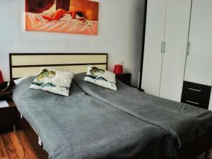 1 dormitorio con 1 cama con 2 almohadas en Holiday Home in Mielinghausen with Garden Terrace, en Reiste