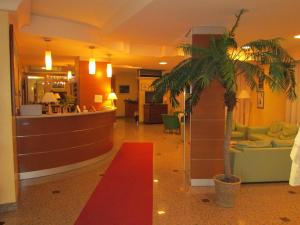 Hall o reception di Hotel Due Pini