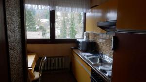 Appartment Vogesenにあるキッチンまたは簡易キッチン